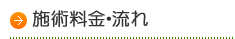 施術料金・流れ