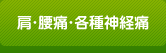 肩・腰痛・各種神経痛