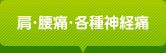 肩・腰痛・各種神経痛